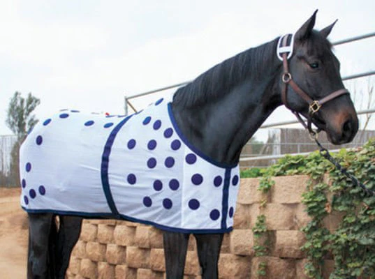 Professional's Choice Dura-Tech Magnetic Horse Therapy Sheet - Healthber