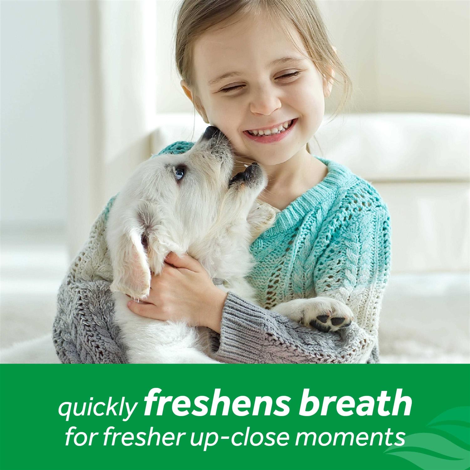 Tropiclean Fresh Breath Oral Care Spray - Healthber