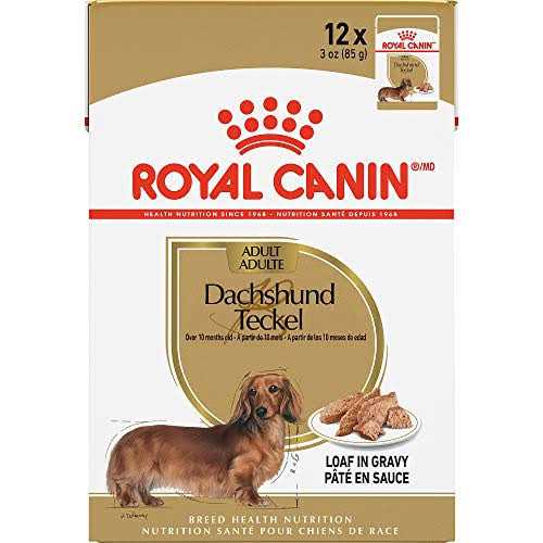 Royal Canin Breed Health Nutrition Dachshund Loaf in Gravy Pouch Dog Food - Healthber