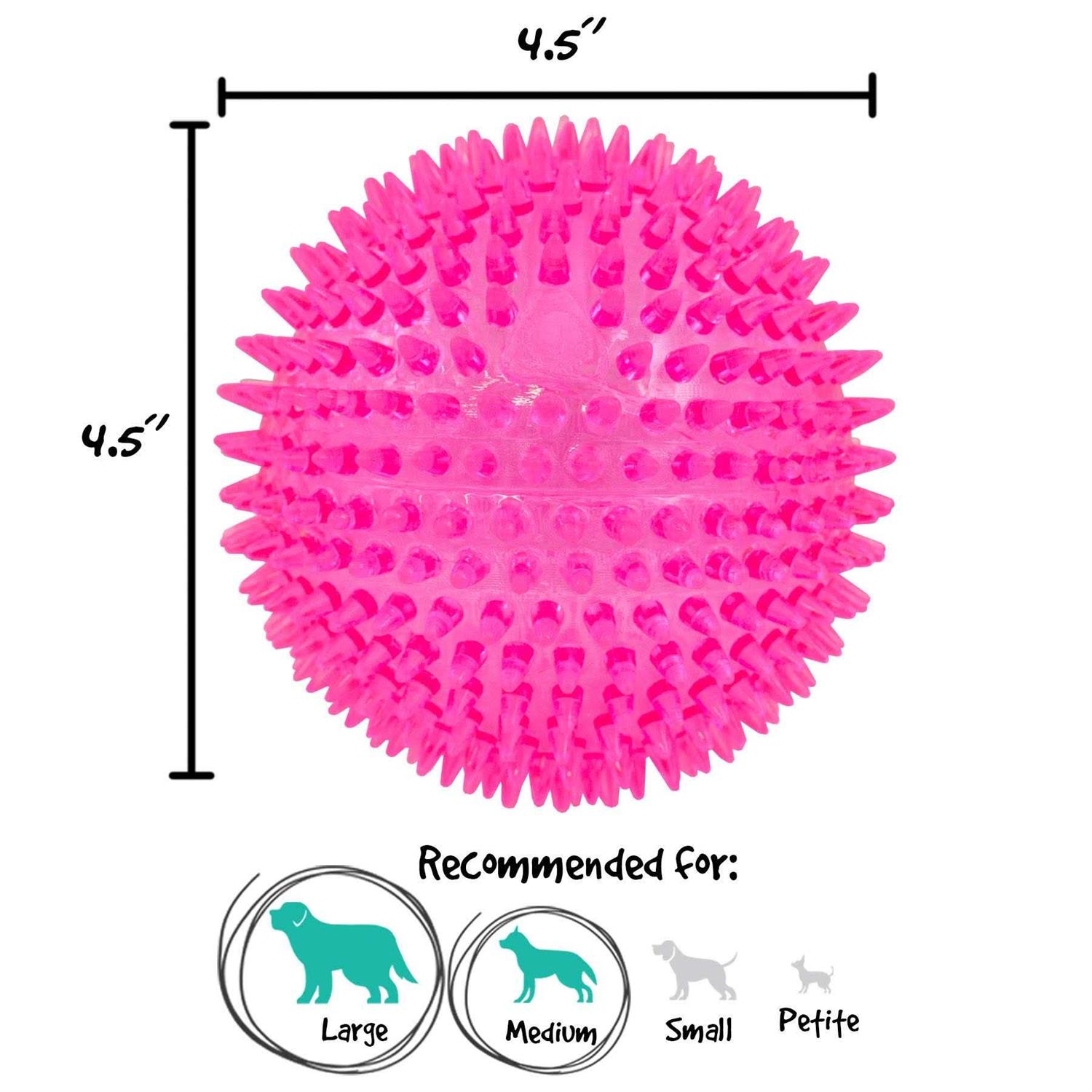 Gnawsome Squeaker Ball Dog Toy - Healthber