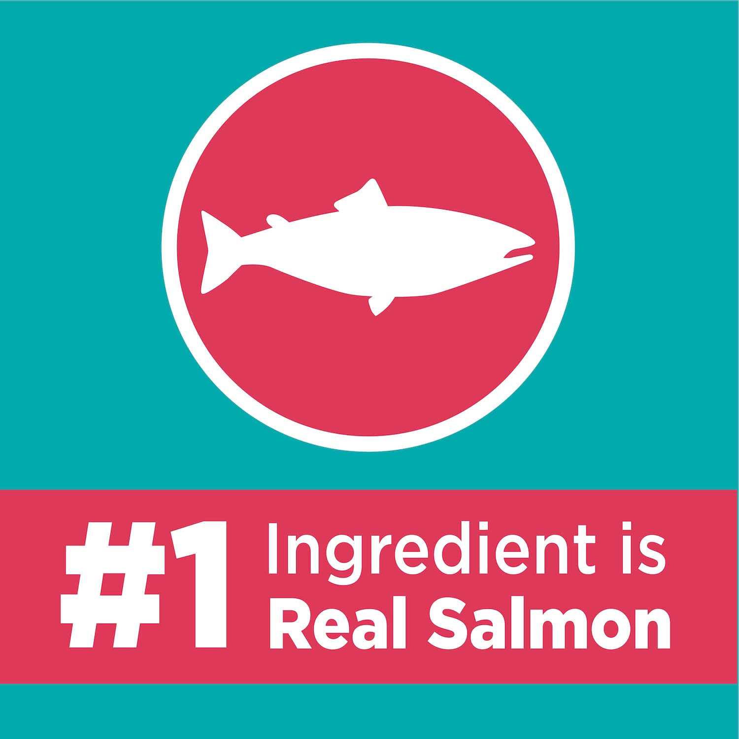 Iams Proactive Health Care Salmon Adult Dry Cat Food - Healthber