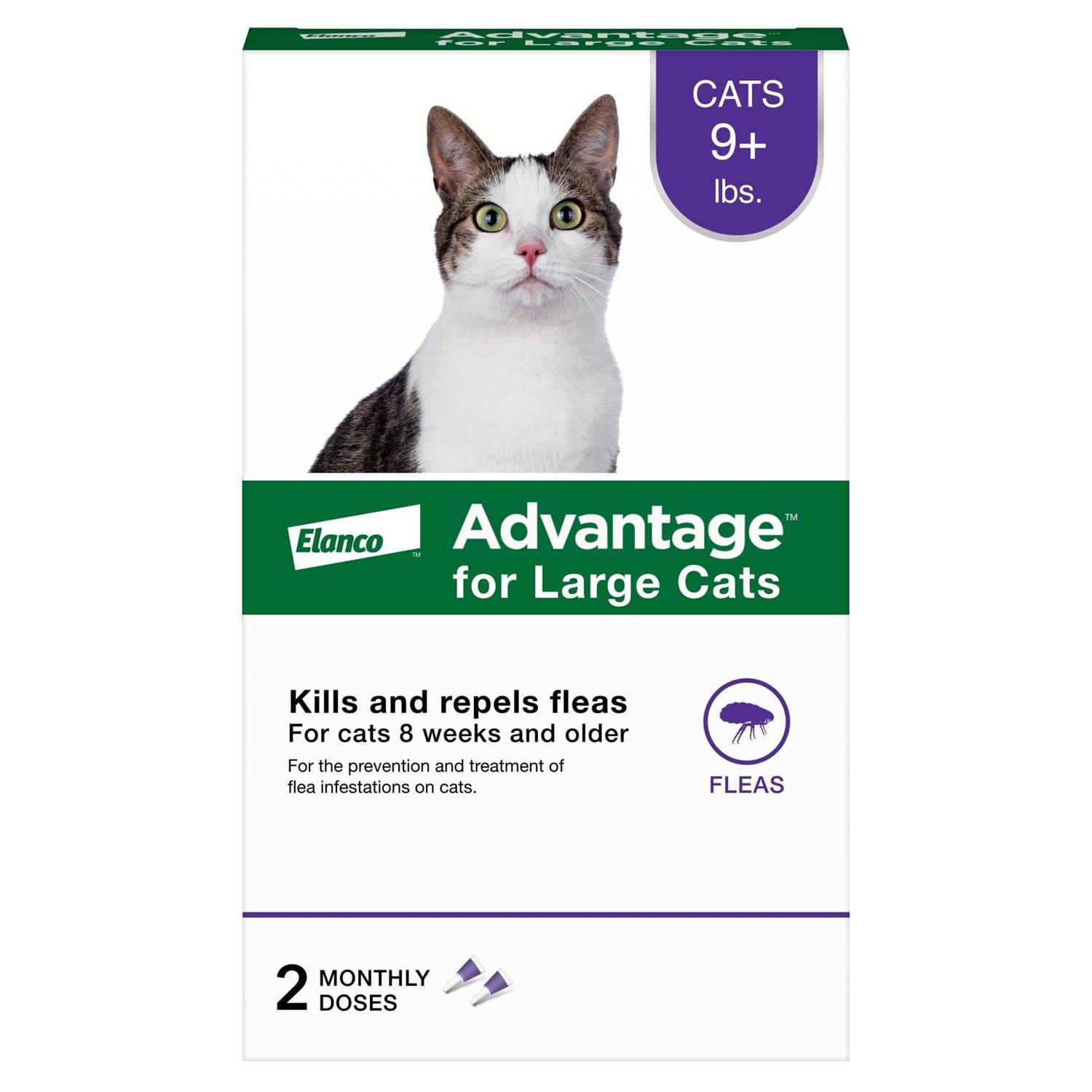 Advantage Topical Flea Prevention for Large Cats - Healthber