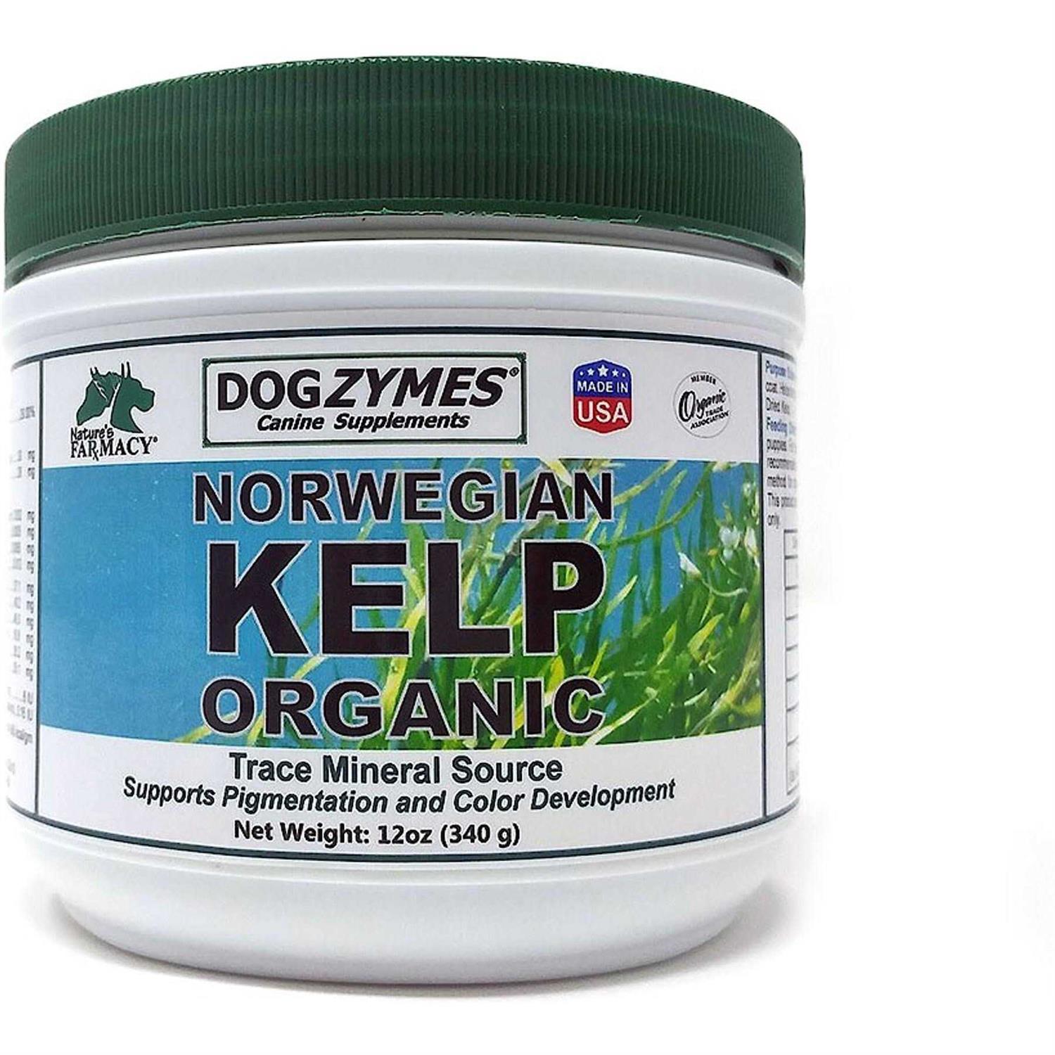 Dogzymes Organic Norwegian Kelp for Pets - Healthber