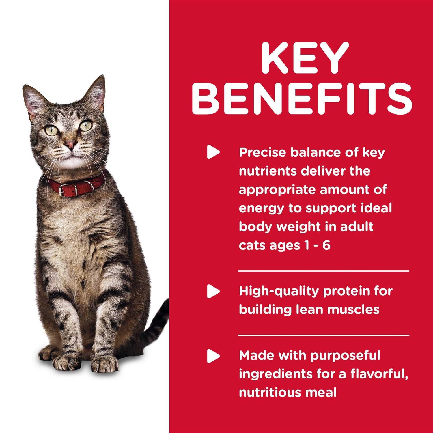 Hill’s Science Diet Adult Tender Chicken Dinner Canned Cat Food - Healthber
