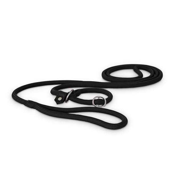 EveryYay Settin’ the Pace Training Rope Slip Lead for Dogs - Healthber