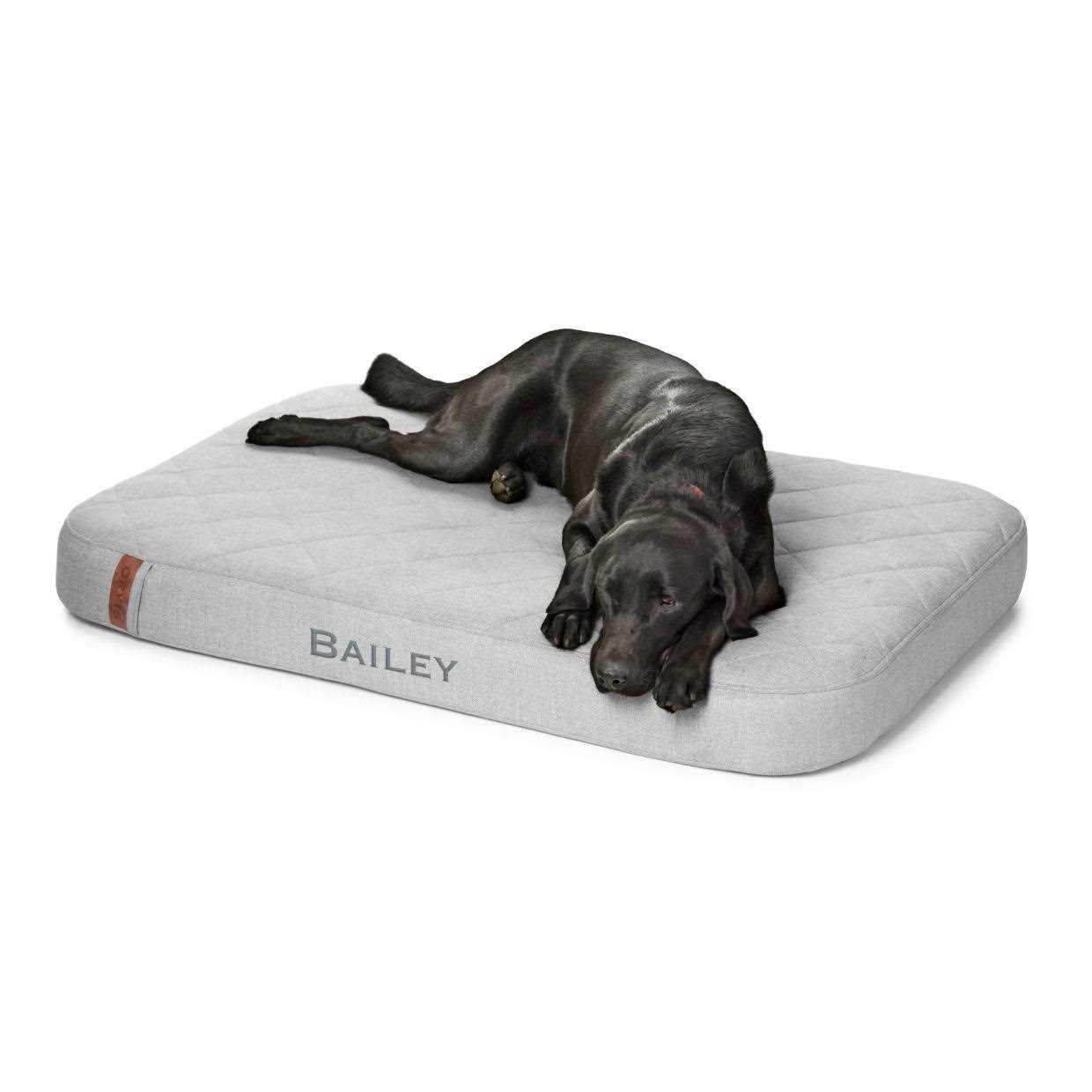 Orvis RecoveryZone Lounger Dog Bed - Healthber
