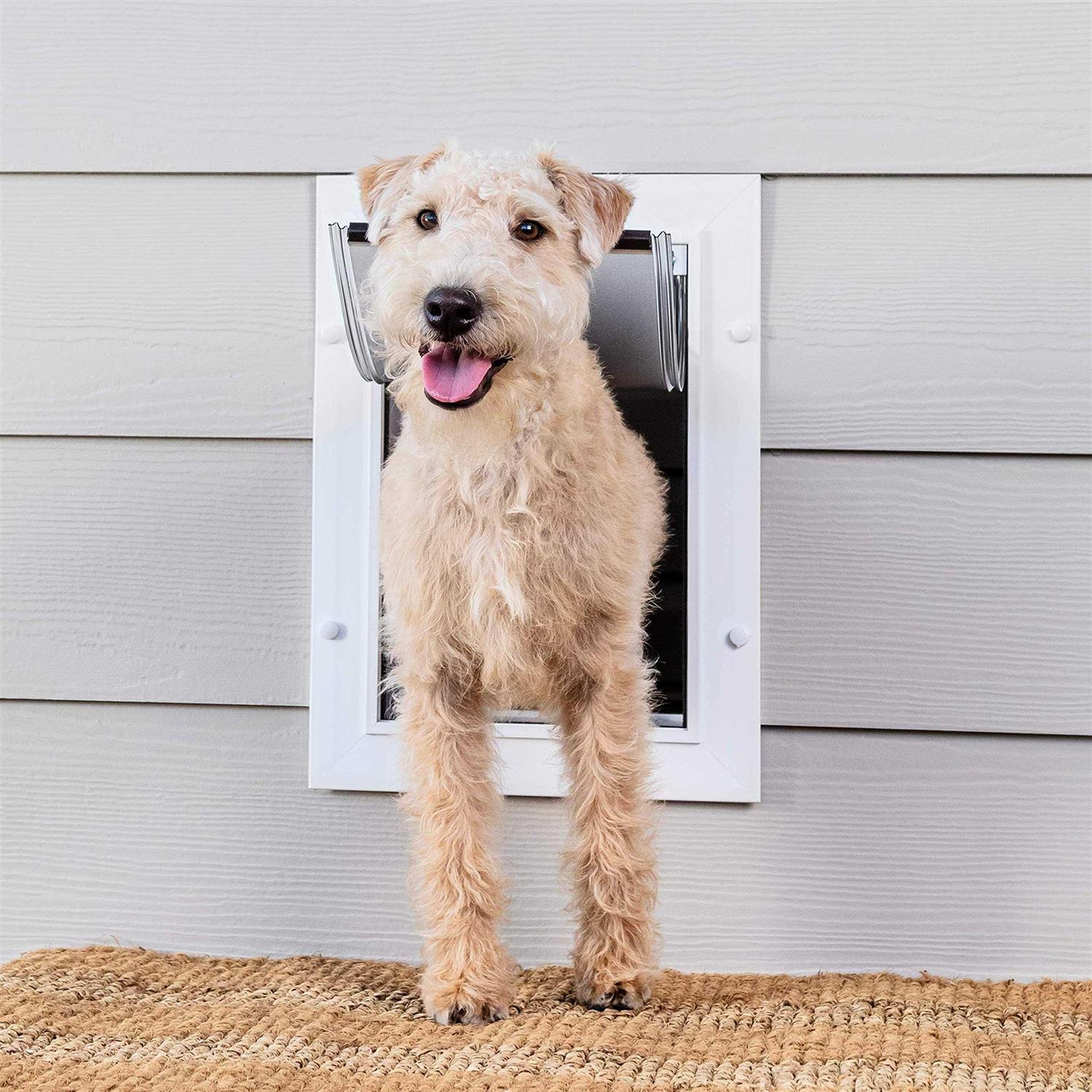 PetSafe Wall Entry Pet Door - Healthber
