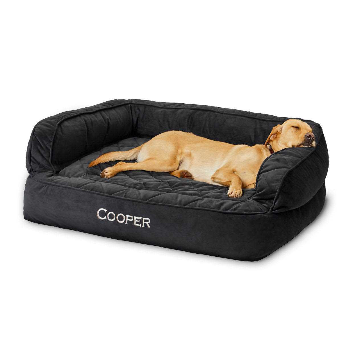 Orvis Memory Foam Couch Dog Bed Slate - Healthber