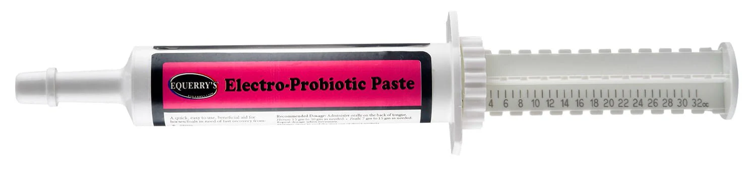 Equerry's Electro-Probiotic Paste, 30 gm - Healthber