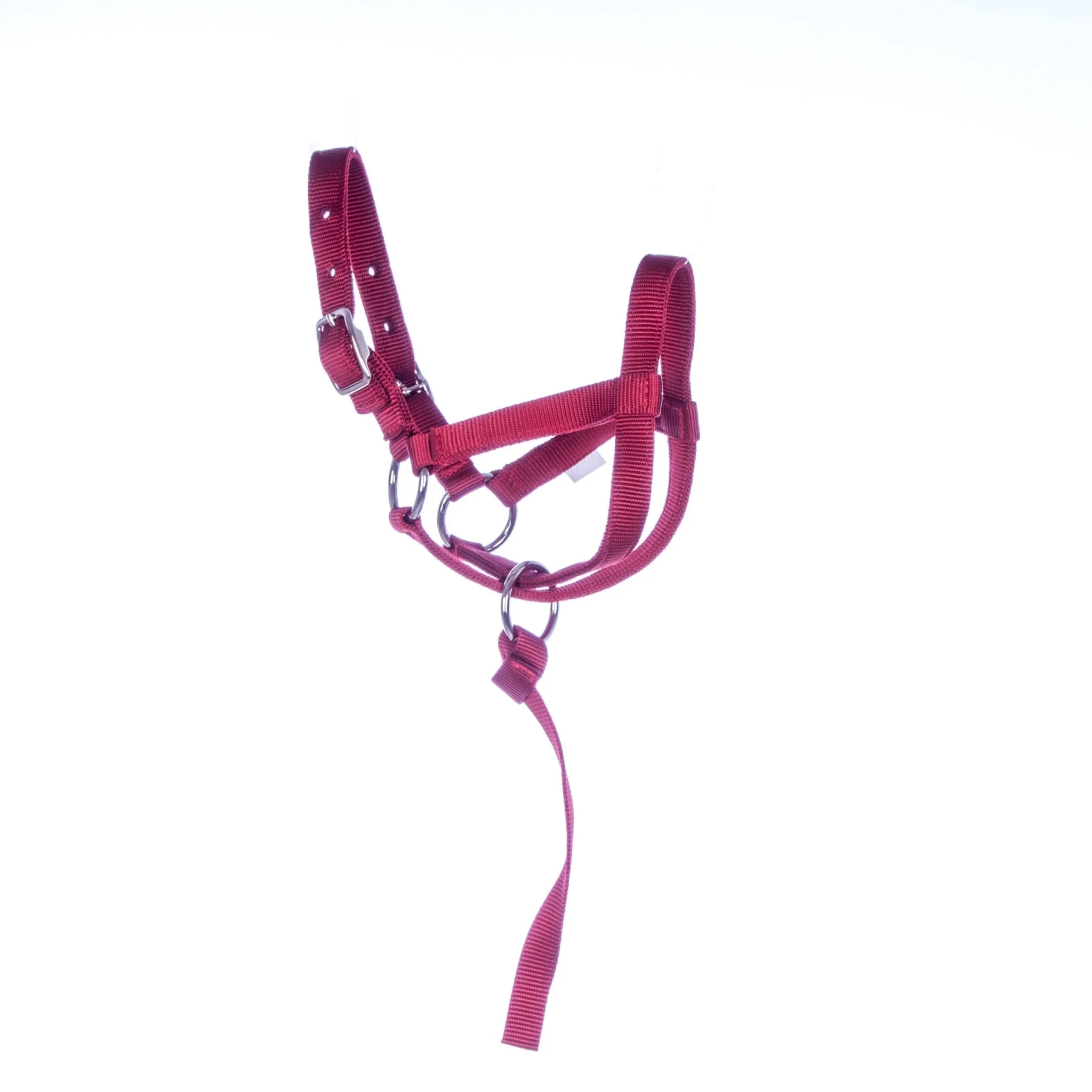 Nylon Llama Halter with Catch Strap - Healthber