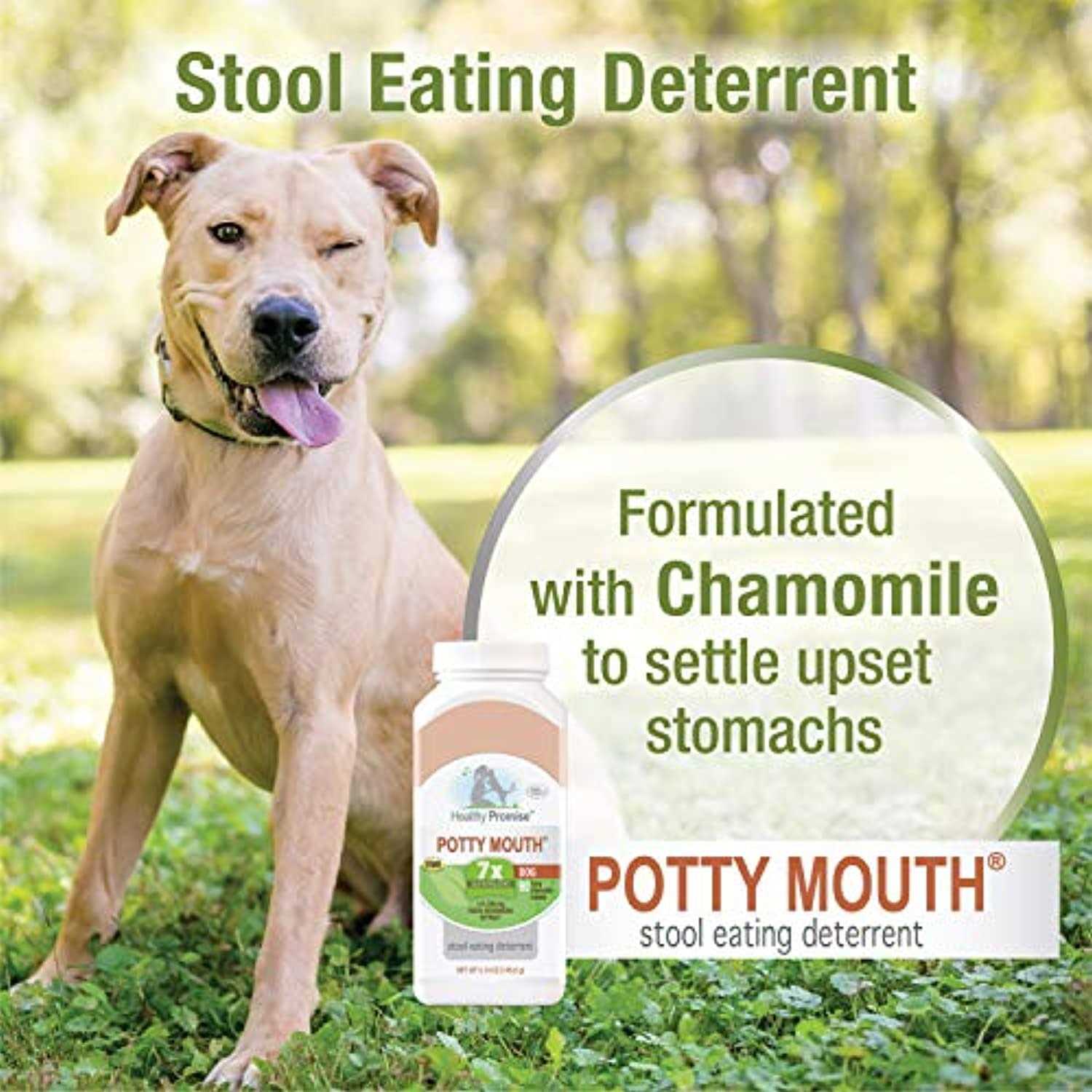 Four Paws Healthy Promise Potty Mouth Supplement for Dogs - Healthber