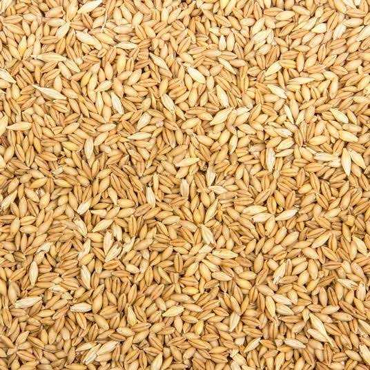 Azure Market Organics Whole Barley Animal Feed Organic - Healthber