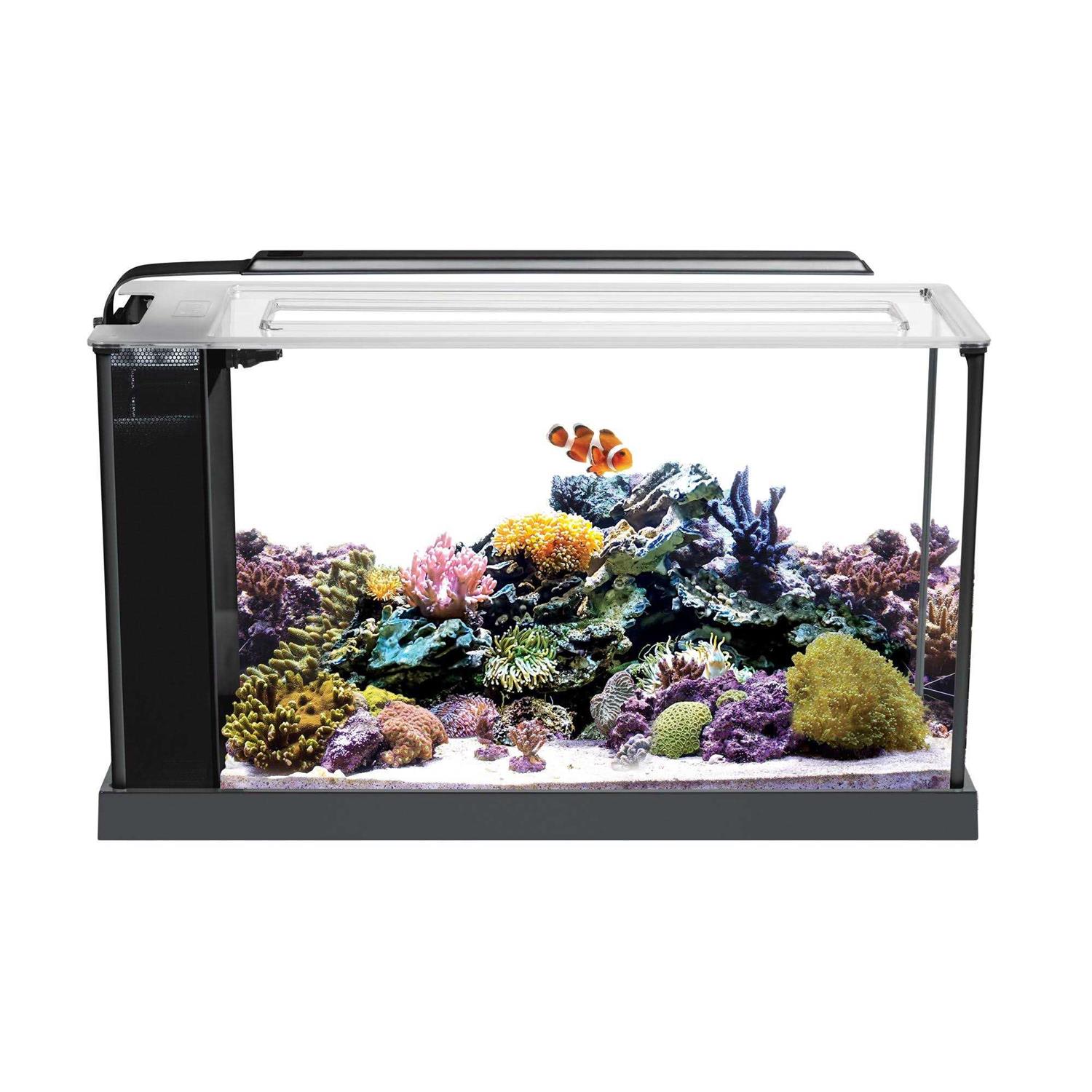 Fluval Evo Aquarium Kit - Healthber