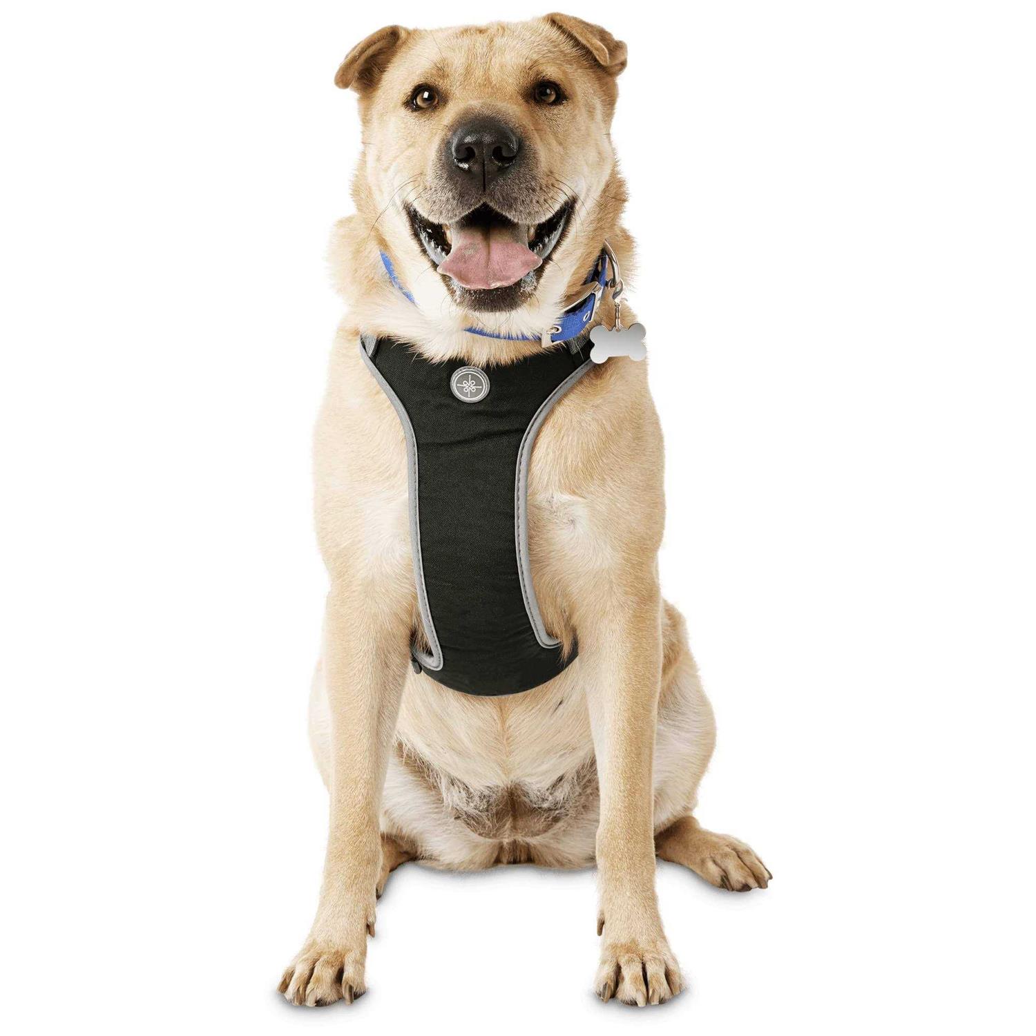 Youly The Classic Black Harness for Large Dog - Healthber