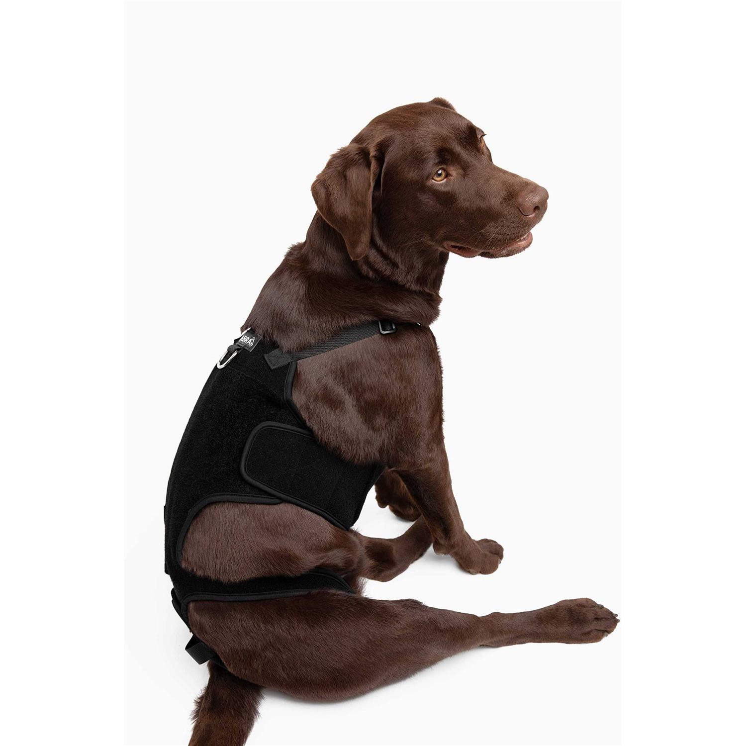 Labra Dog Canine K9 Back Brace IVDD Spine Pain & Spinal Injury - Healthber