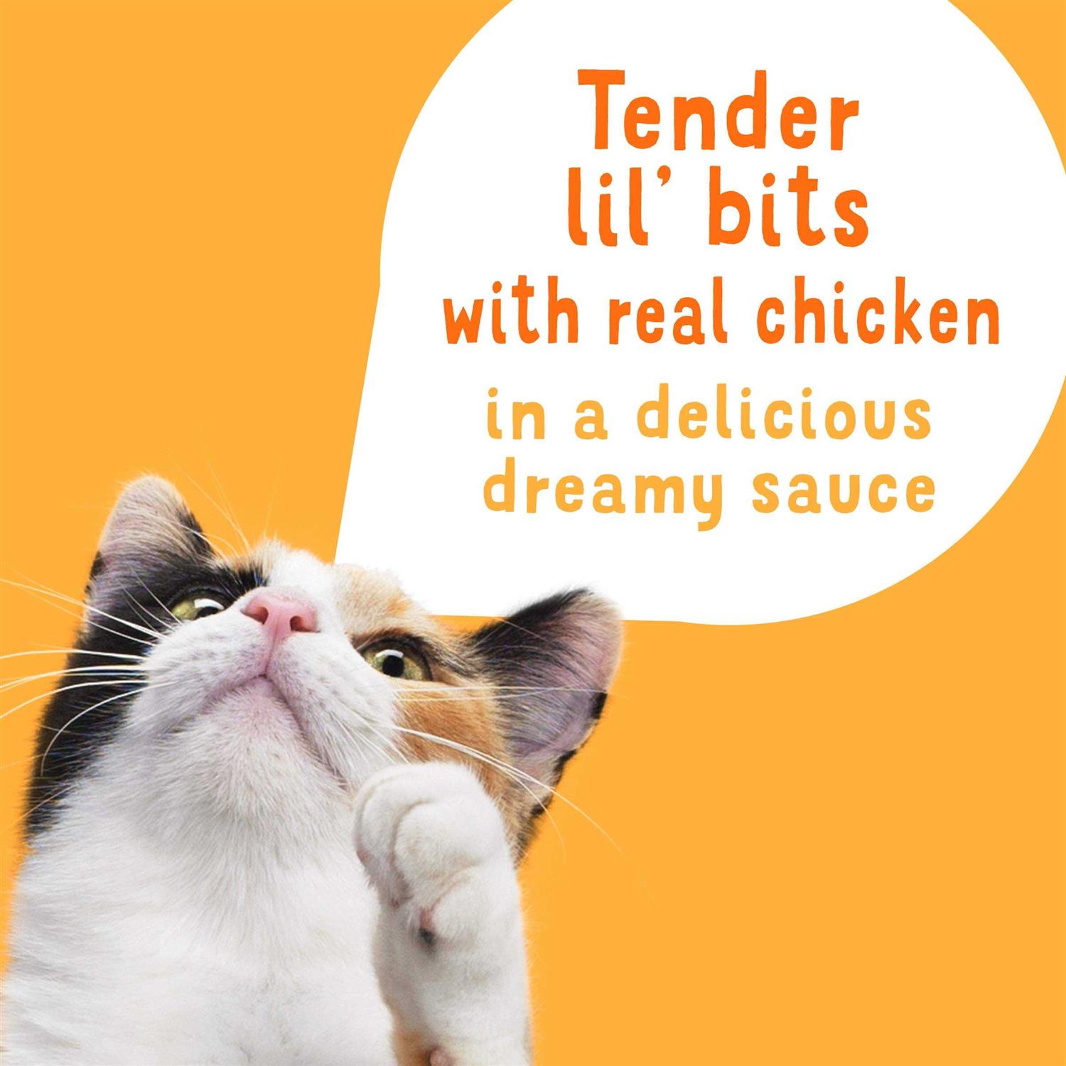 Friskies Lil Slurprises Shredded Chicken in Sauce Wet Cat Food Complement - Healthber