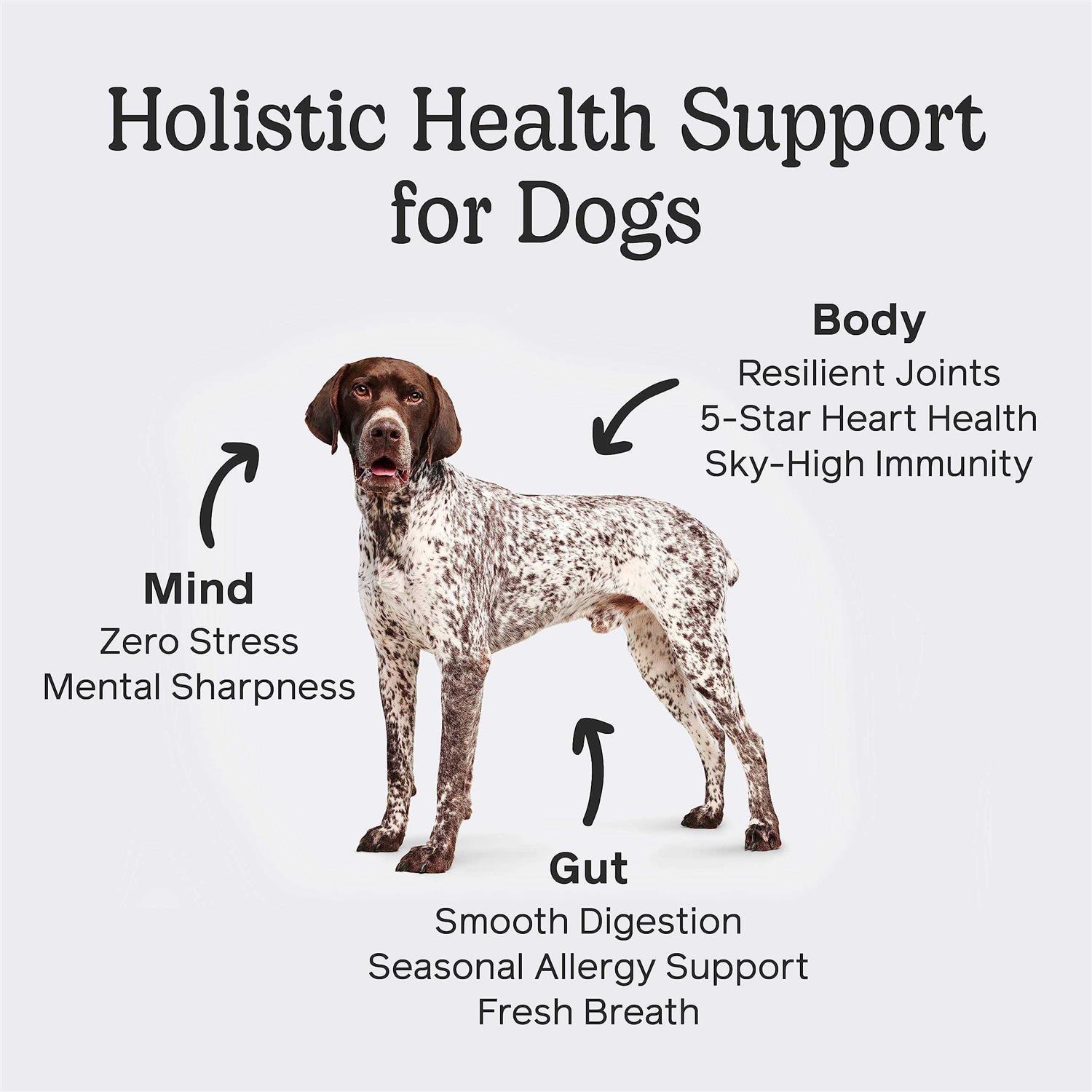 The One by Front Of The Pack Dog - Healthber