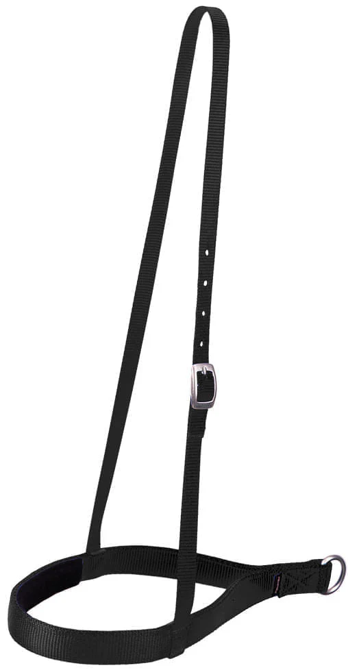 Weaver Nylon Noseband, Regular - Healthber