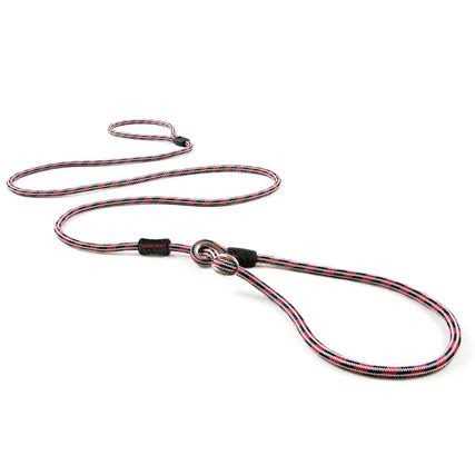 EzyDog Luca All-in-One Slip Collar Dog Leash - Healthber