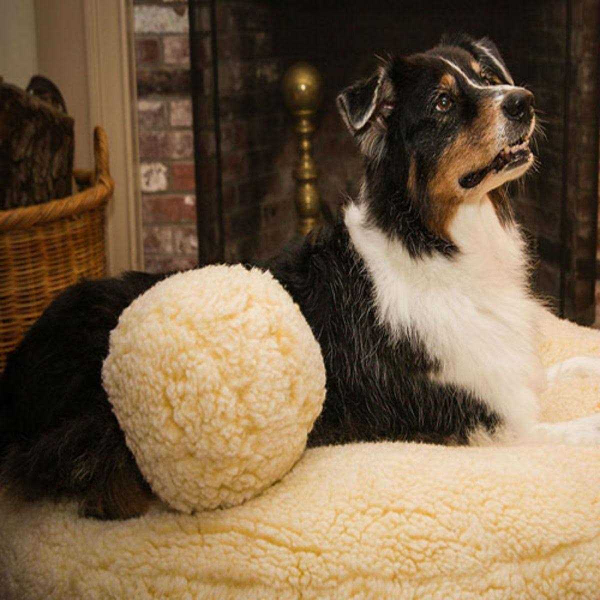 HuggleHounds HuggleFleece Ball Dog Toy - Healthber