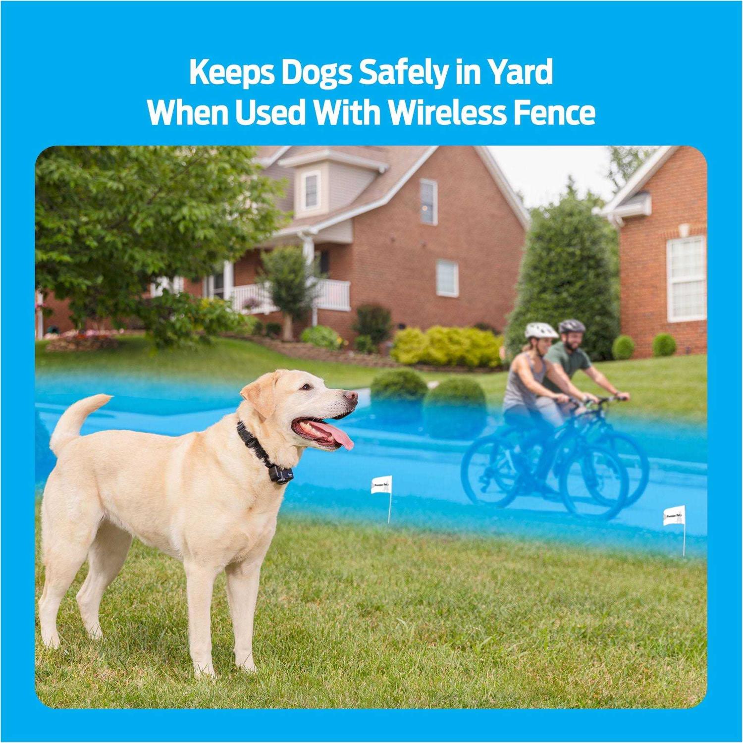 Premier Pet Wireless Add-A-Dog Collar - Healthber