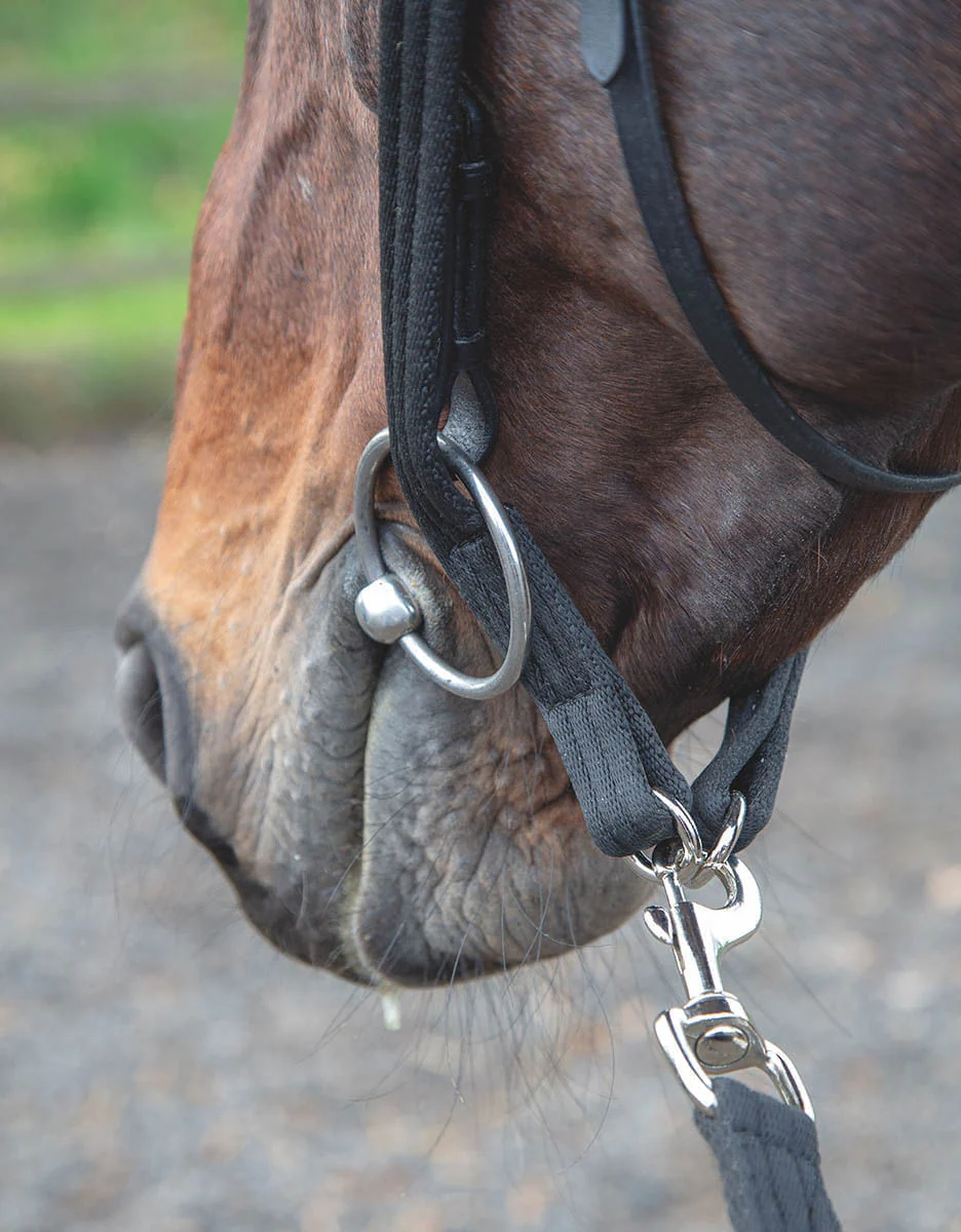 Shires Lunging Adapter - Healthber