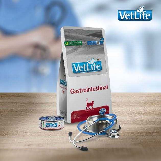 Farmina Vet Life feline Gastrointestinal - Healthber