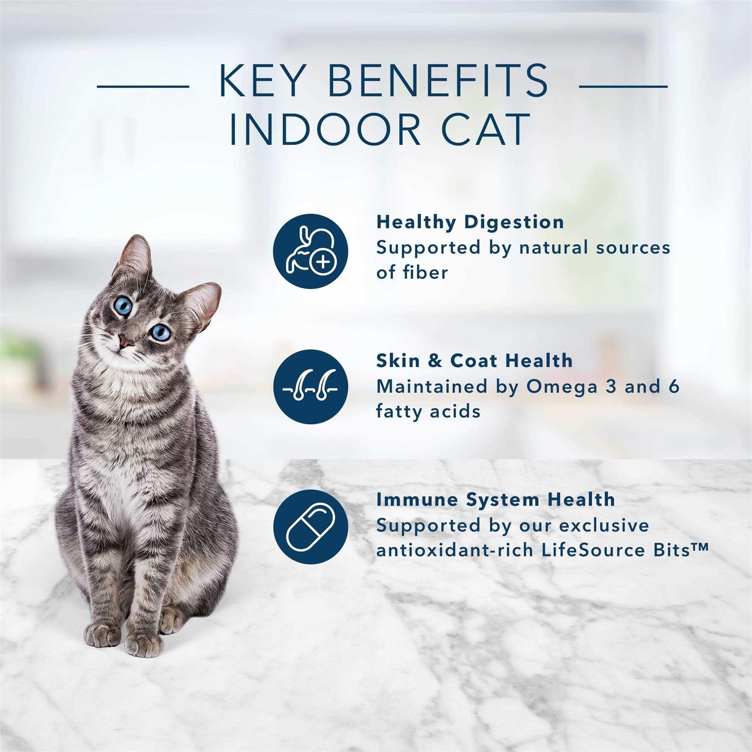 Blue Buffalo Indoor Health - Healthber