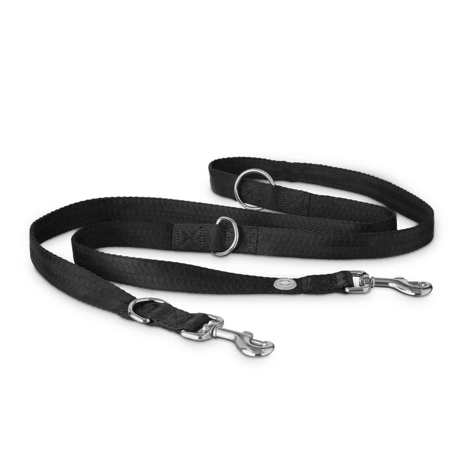 EveryYay Settin’ the Pace Dog Multifunction Training Lead - Healthber