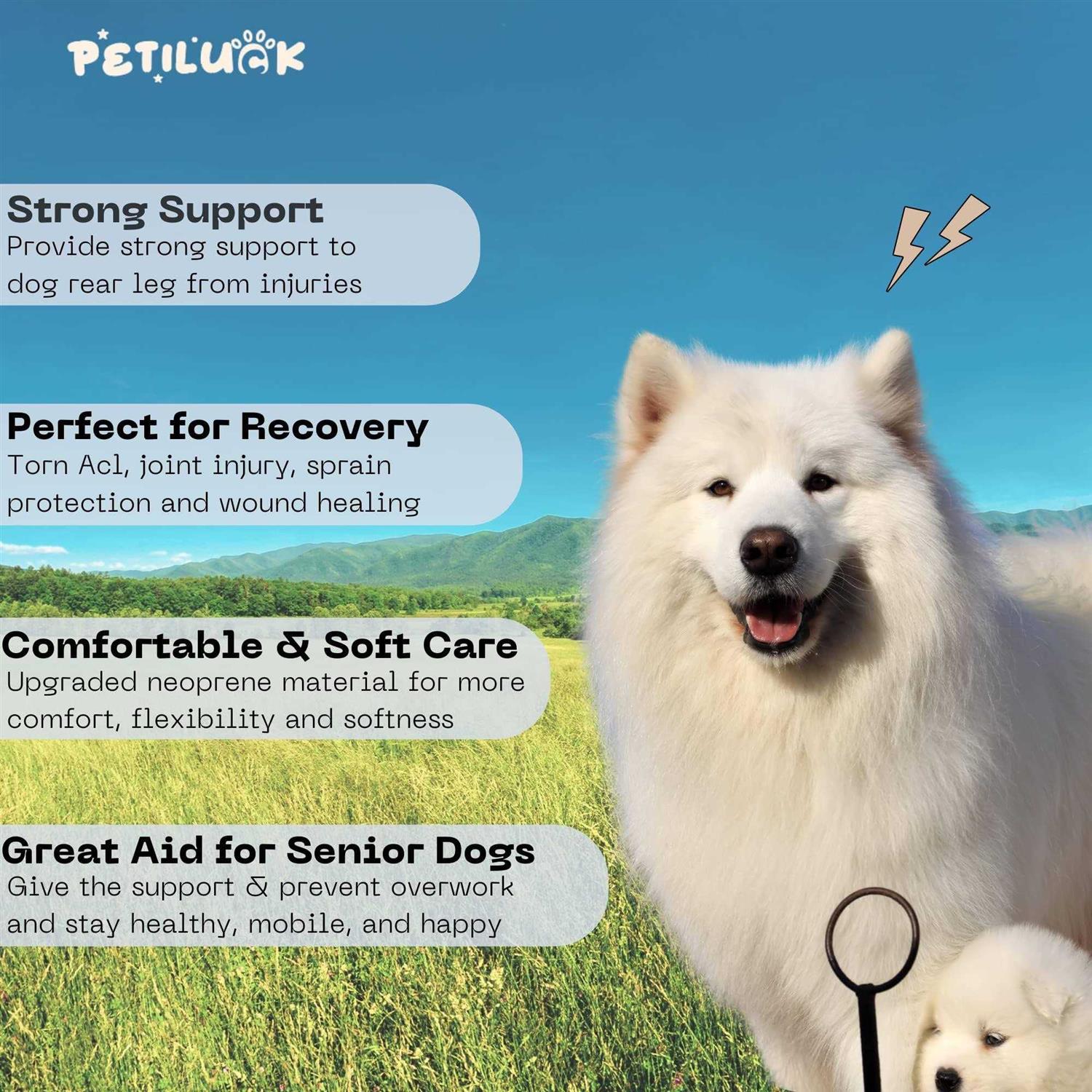 PETILUCK Waterproof Dog Leg Braces for Back Leg Canine Rear Leg Hock Joint Wrap Protects for Dogs with Torn Acl, Sprain Protection and Wound Healing - Healthber