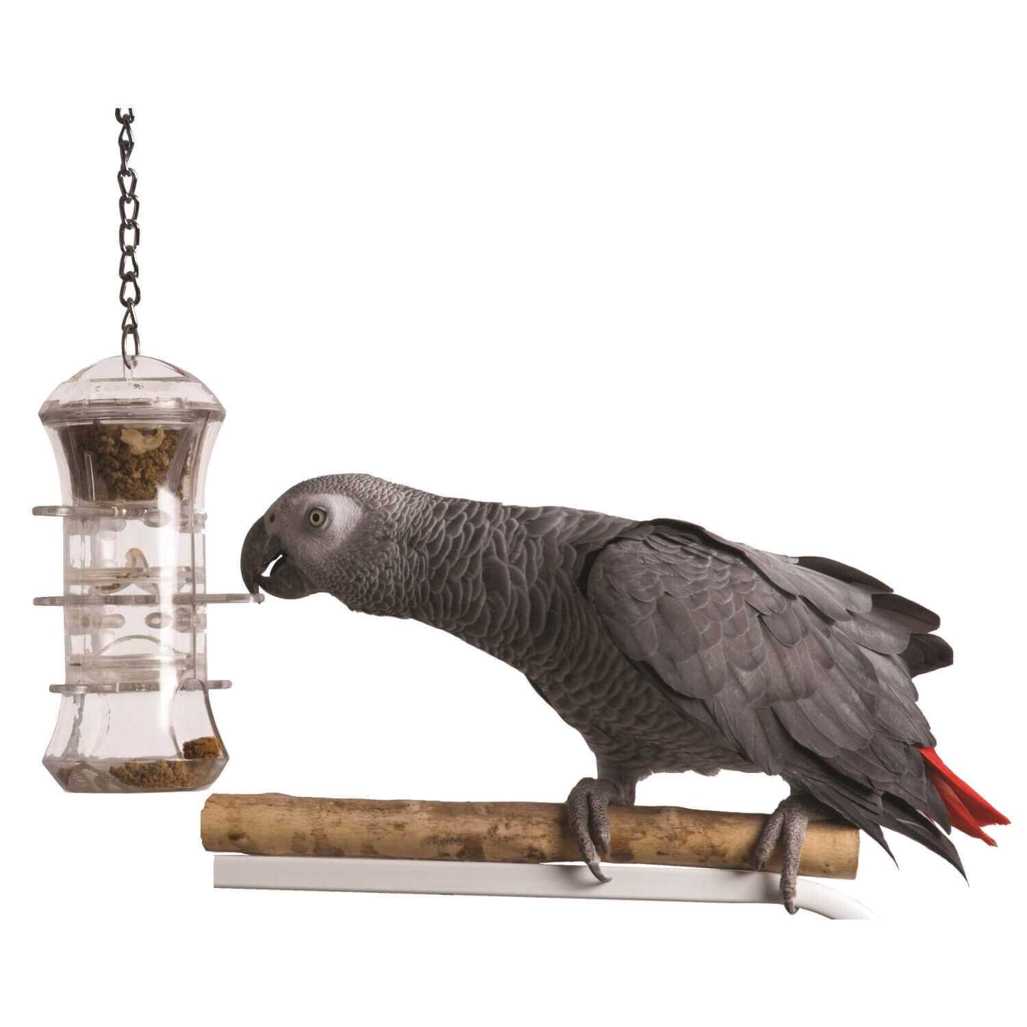 Caitec Foraging Push and Pull - Healthber