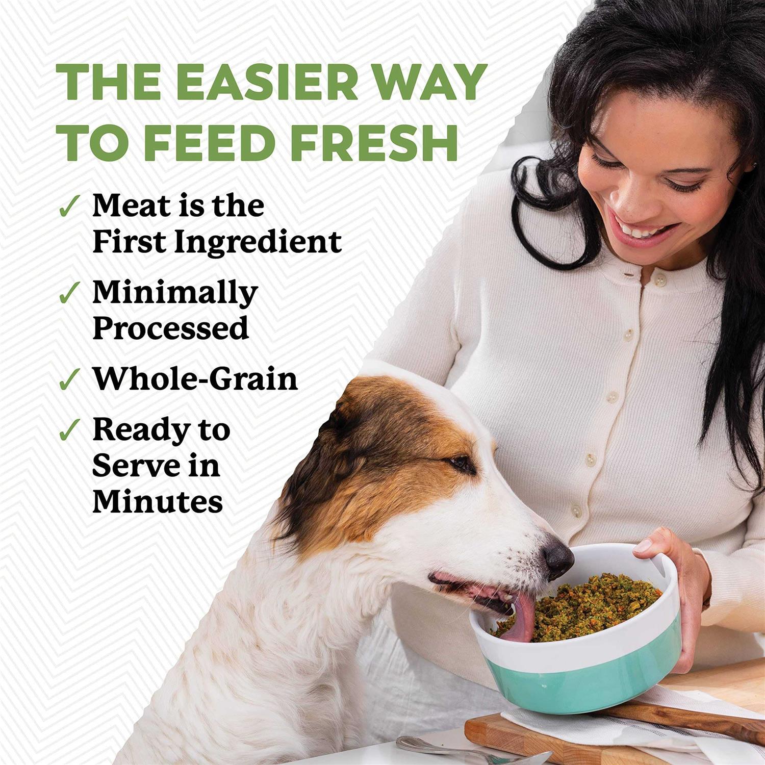 Dr. Harvey’s Whole Grain Beef & Garden Veggies Dehydrated Dog Food - Healthber