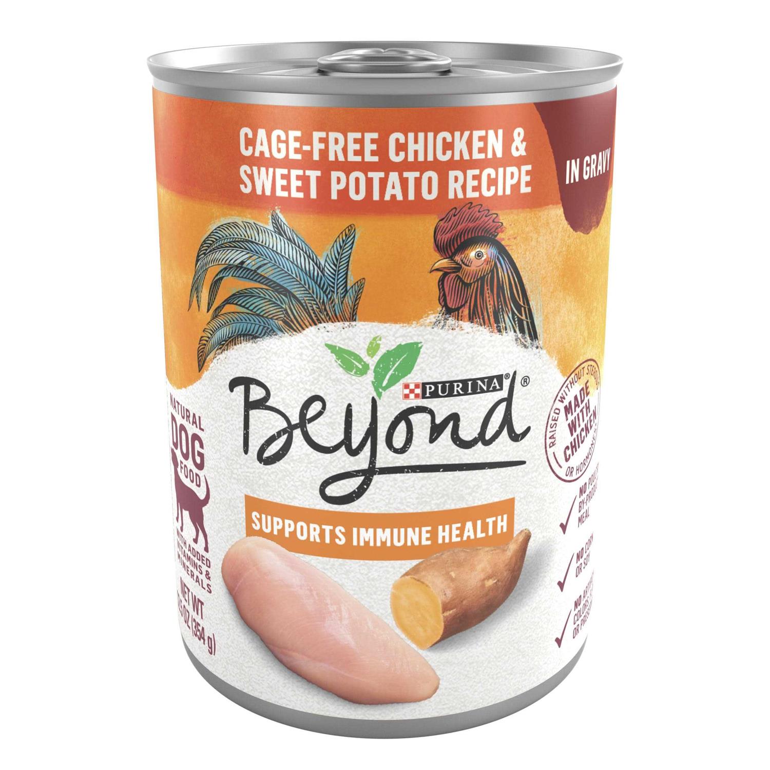 Purina Beyond Chicken and Sweet Potato in Gravy Grain Free Wet Dog Food - Healthber