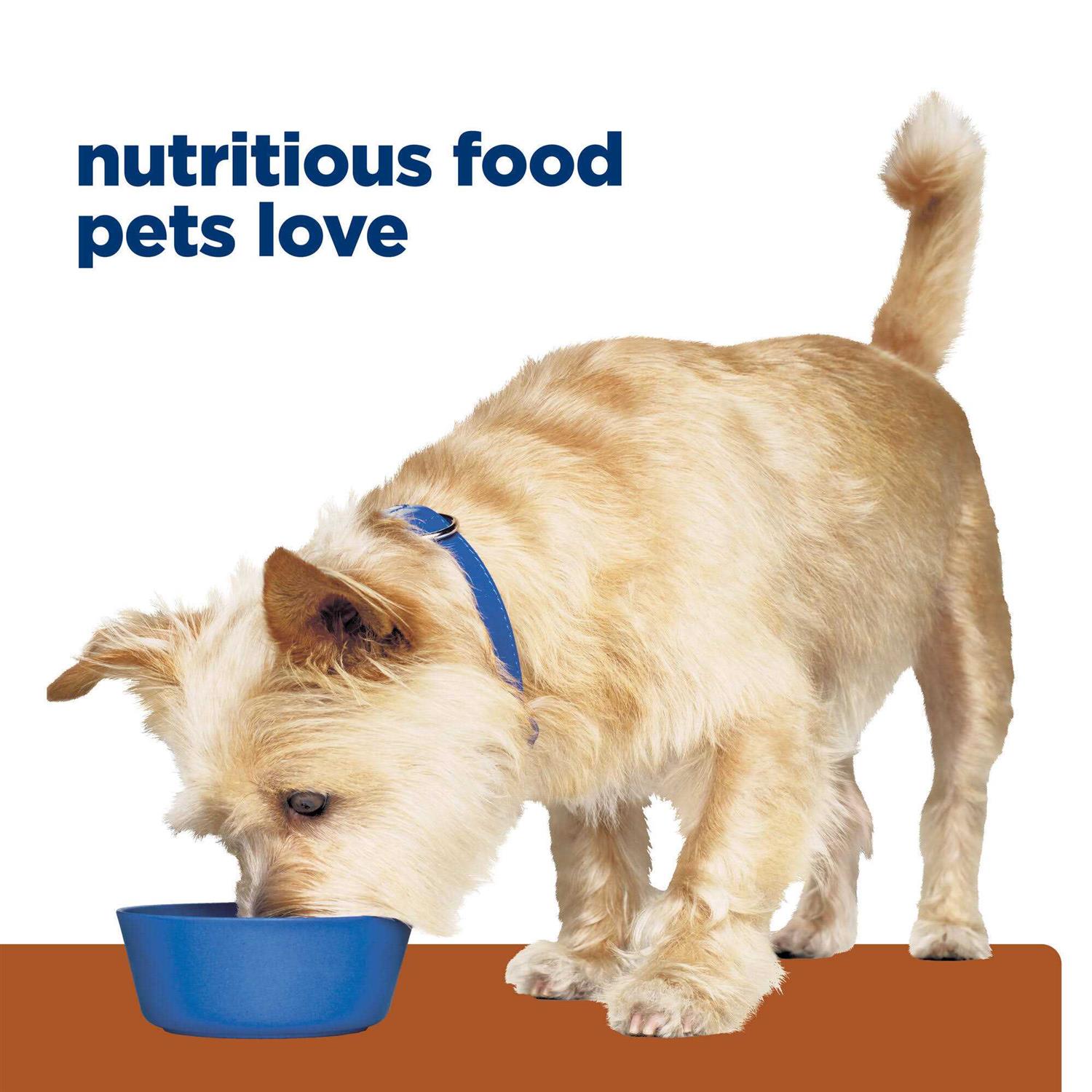 Hill’s Prescription Diet k/d Kidney Care Dog Food - Healthber