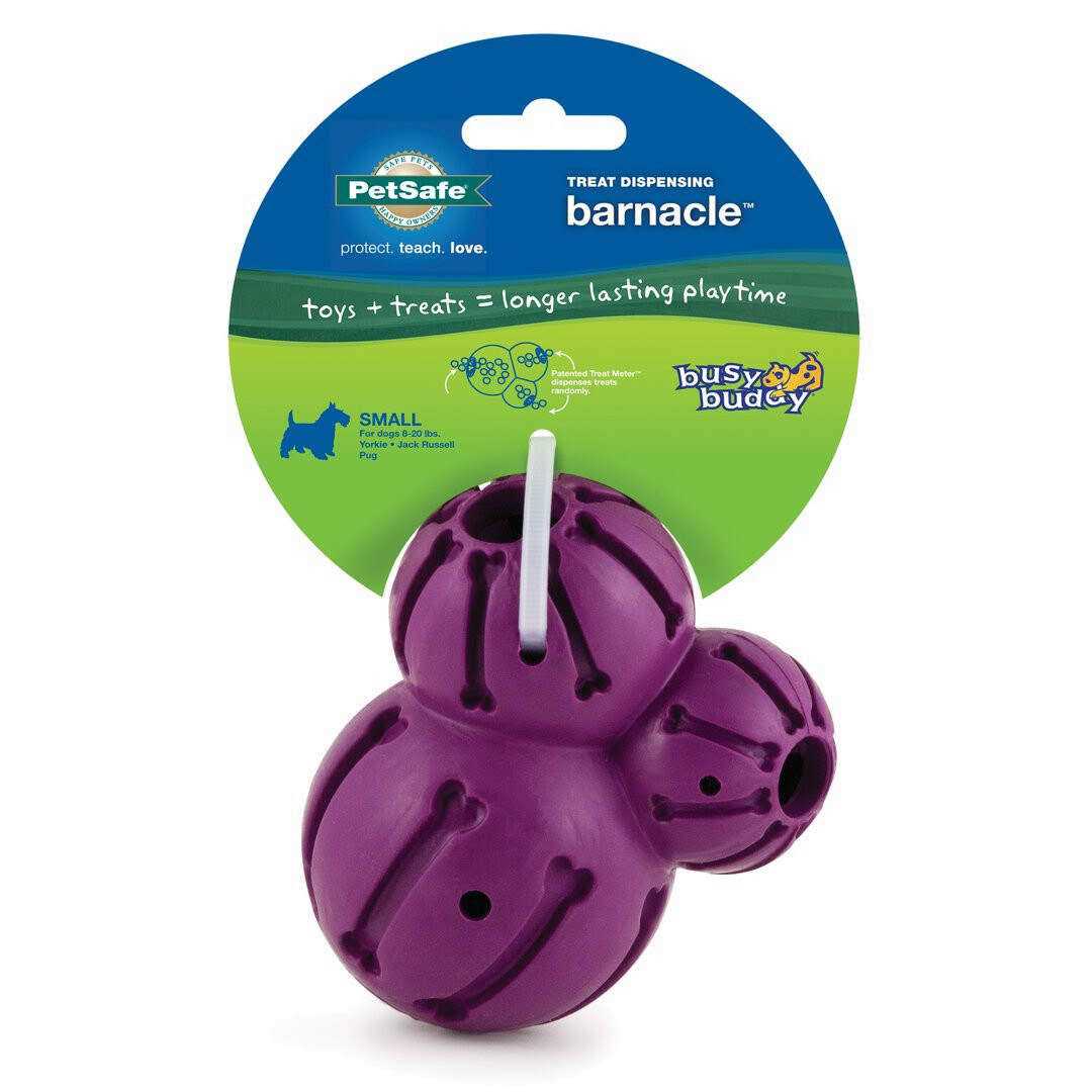 Busy Buddy Barnacle - Healthber