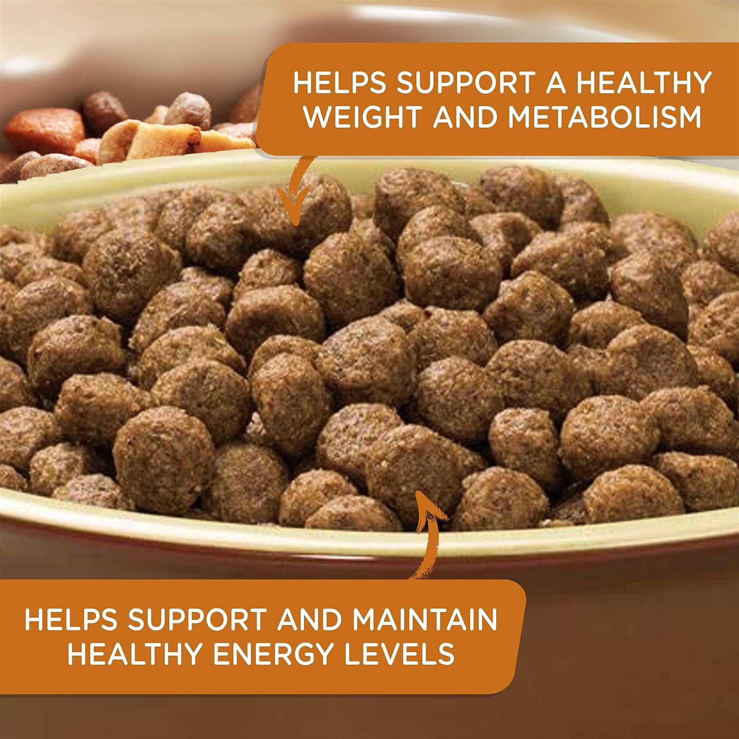 Rachael Ray Nutrish Real Turkey Brown Rice & Venison Recipe Dry Dog Food - Healthber