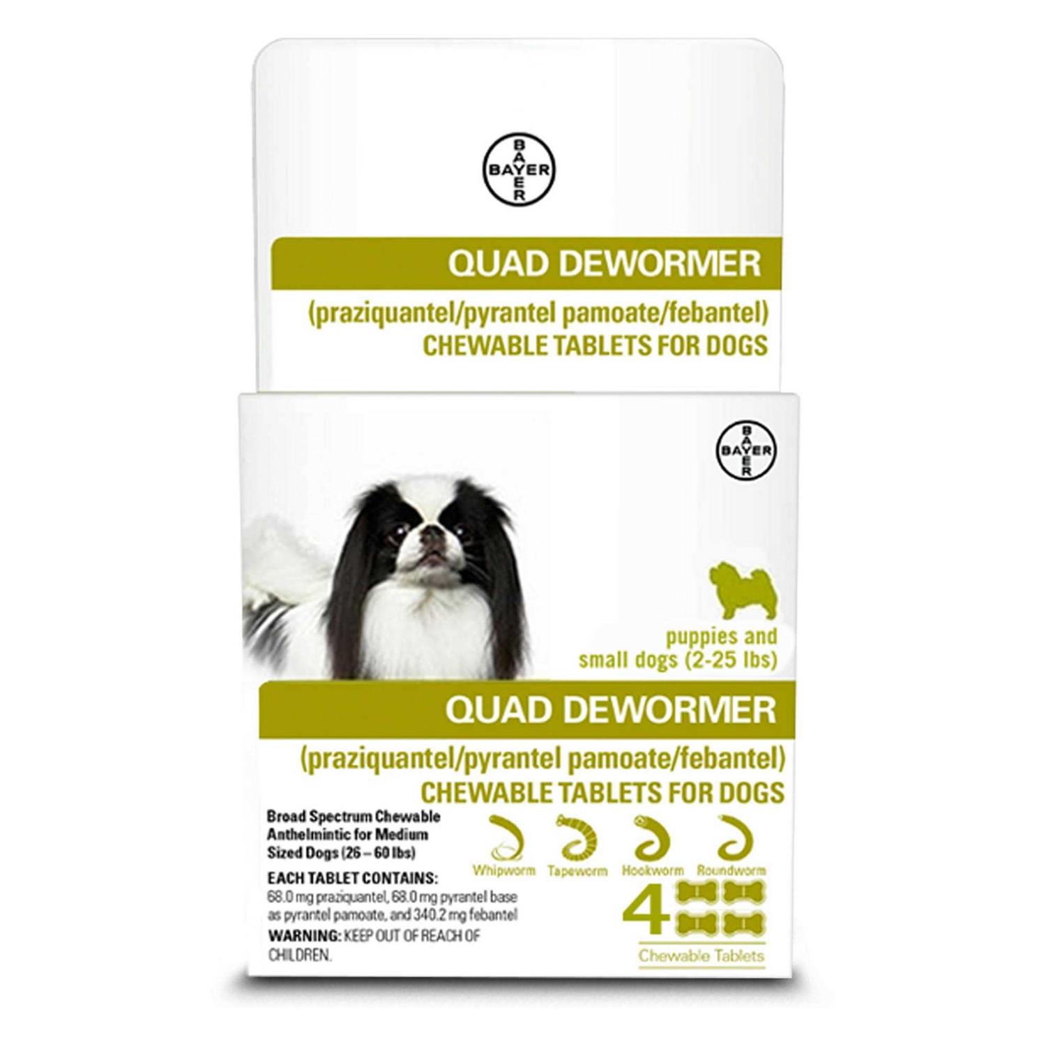 Bayer Quad Dewormer for Small Dogs - Healthber