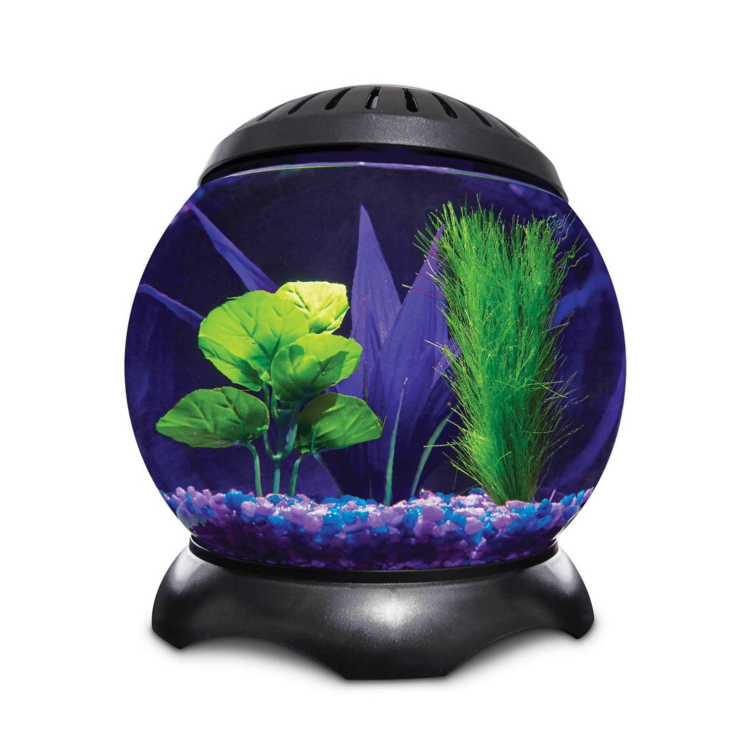 Imagitarium 1.3 Gallon Lotus Tank - Healthber