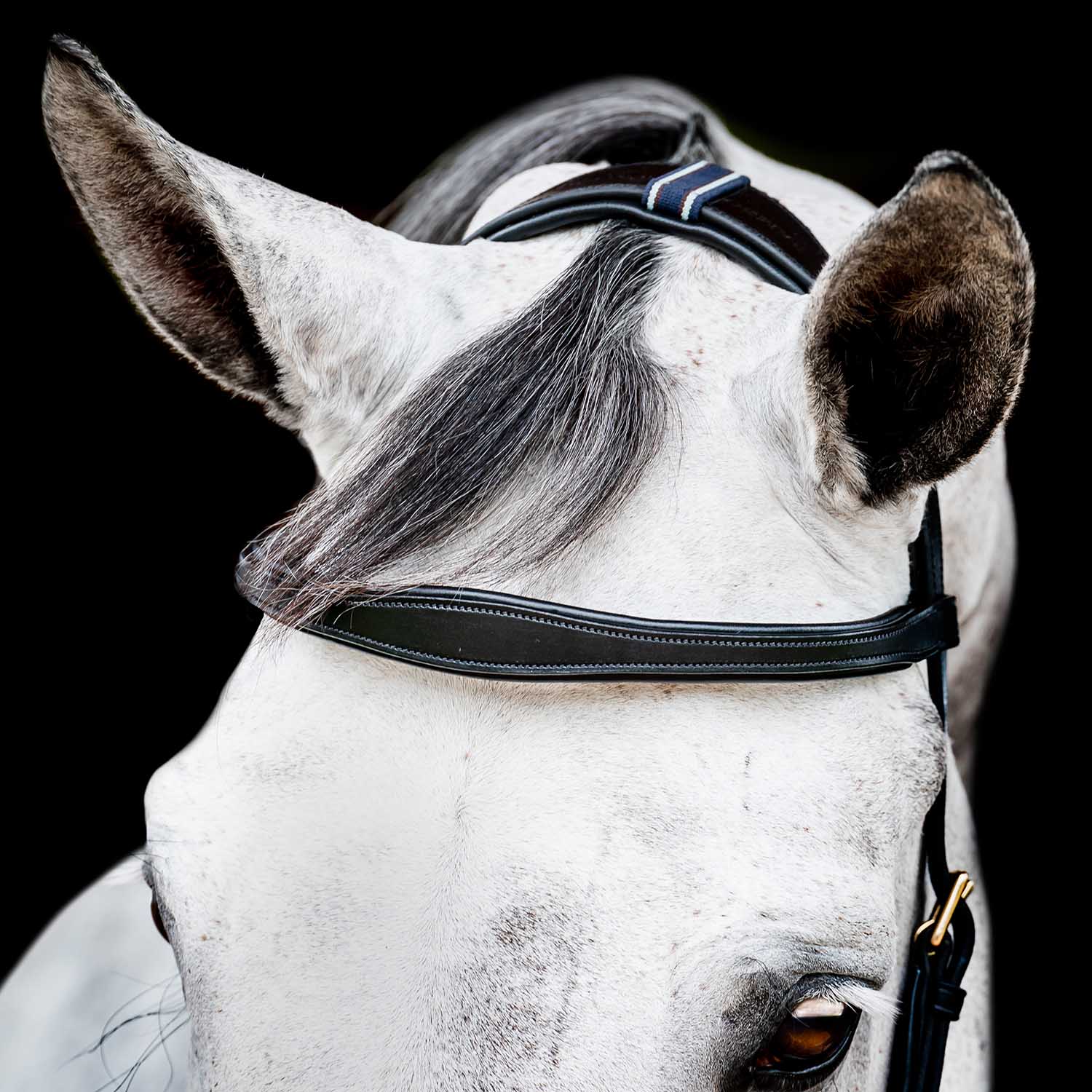 Micklem 2.0 Multi Bridle, Black - Healthber