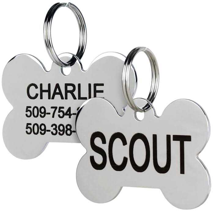 Frisco Stainless Steel Personalized Dog ID Tag - Healthber