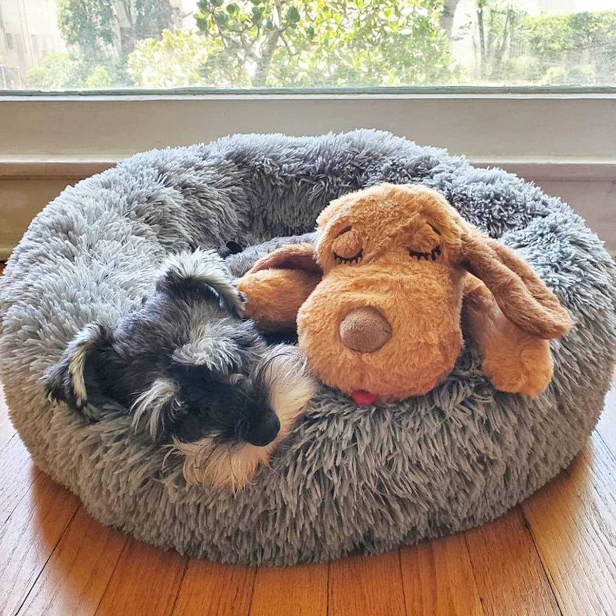 Snuggle Puppy Starter Kit - Healthber