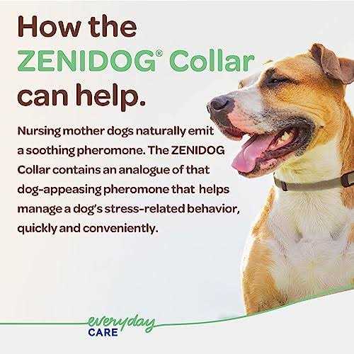 Zenidog Long-acting Collar Medium/large - Healthber