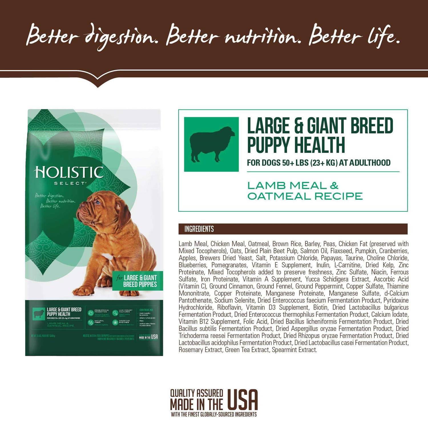 Holistic Select Large Giant Breed Puppy Health Lamb Meal Oatmeal Dry Dog Food - Healthber