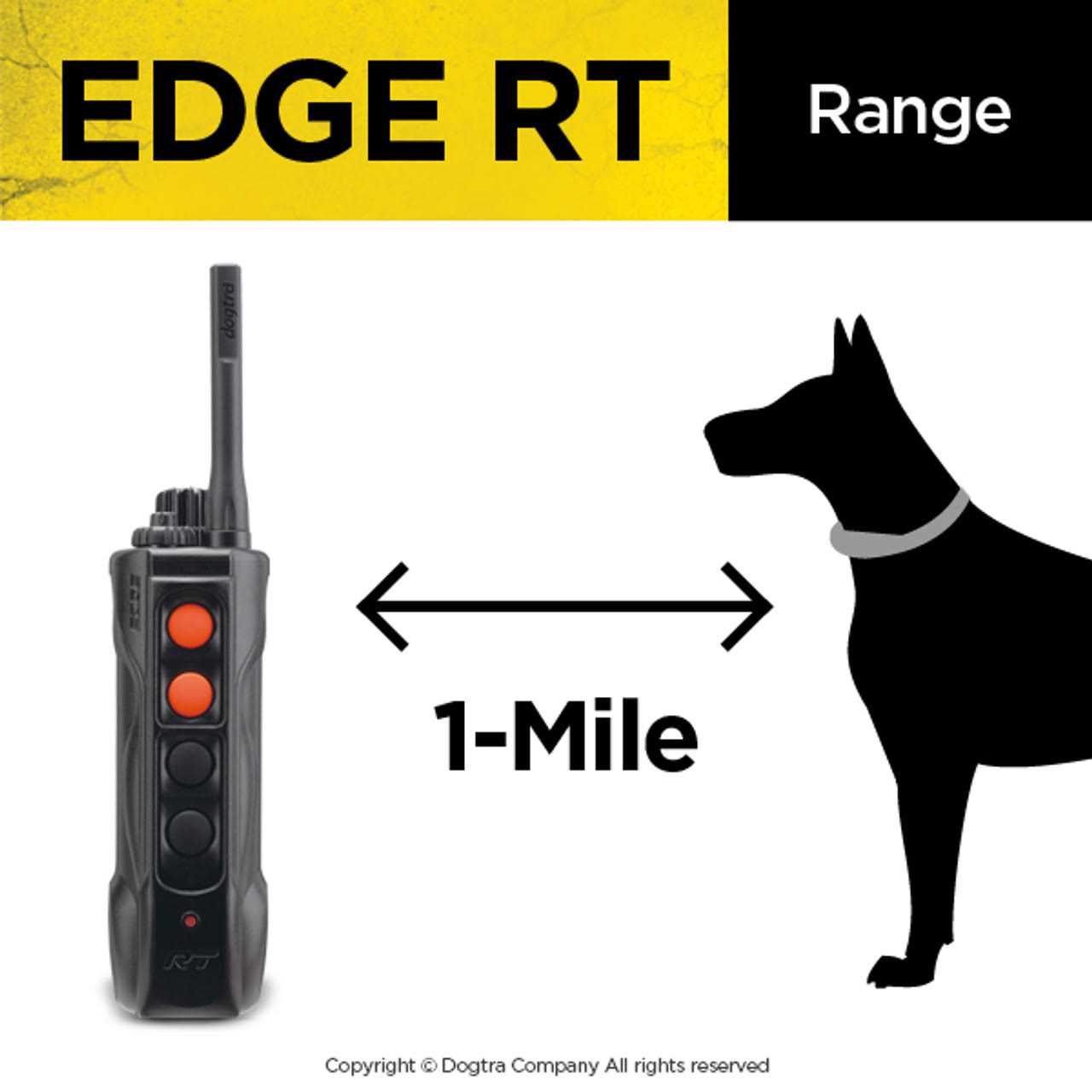 Dogtra EDGE RT - Healthber