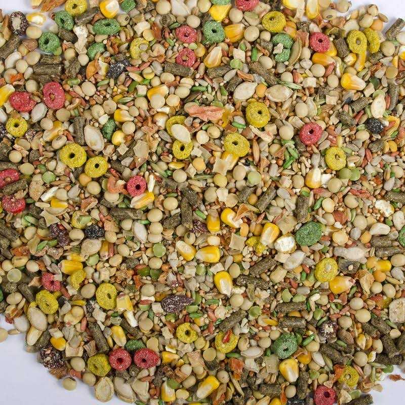 Wild Harvest Hamster and Gerbil Advanced Nutrition Diet - Healthber