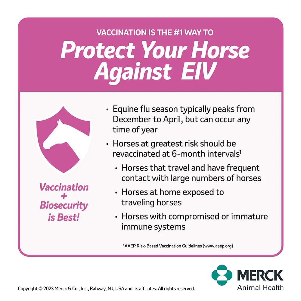Prestige 5 - Healthber