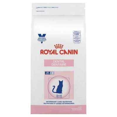 Royal Canin Veterinary Diet Feline Dental Adult Dry Cat Food - Healthber