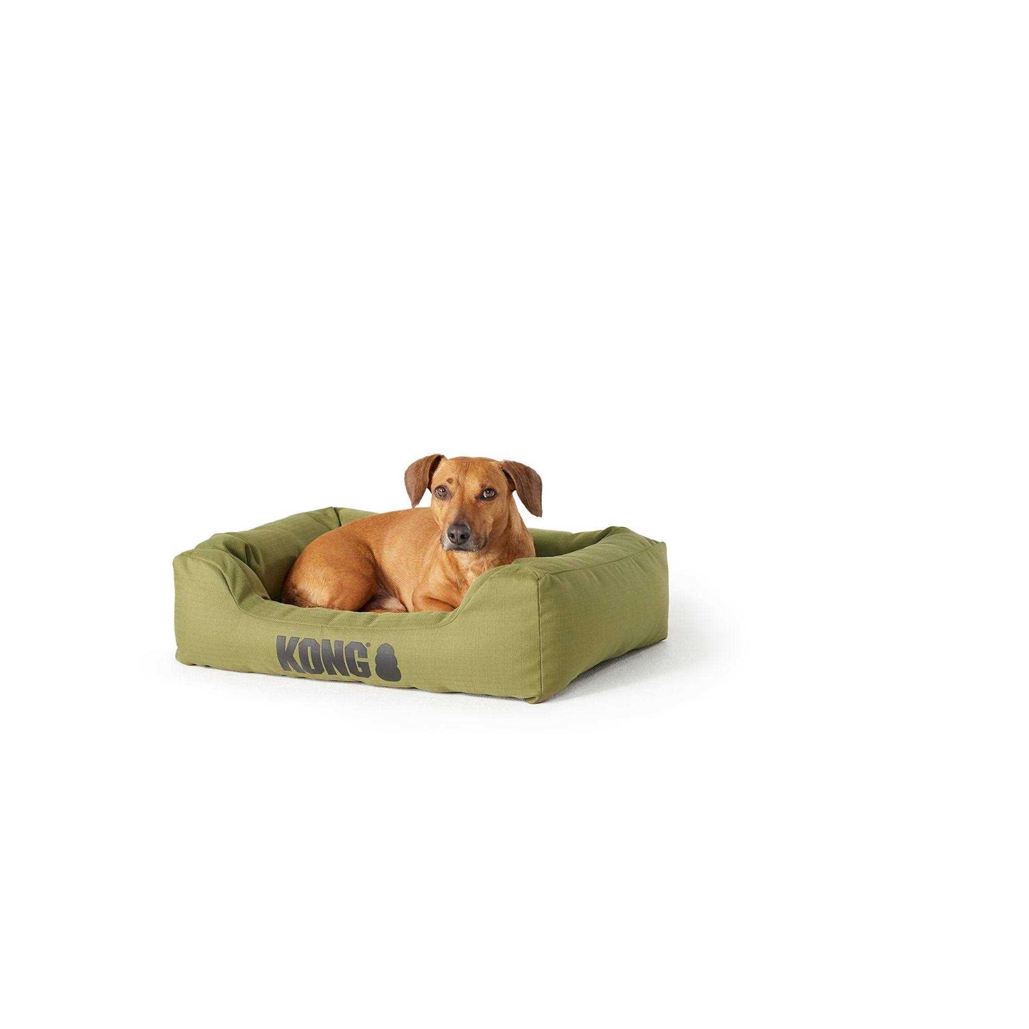 Kong 4-Sided Cuddler Dog Bed - Healthber