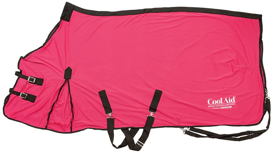 Coolcore Equine Cooling Blanket - Healthber