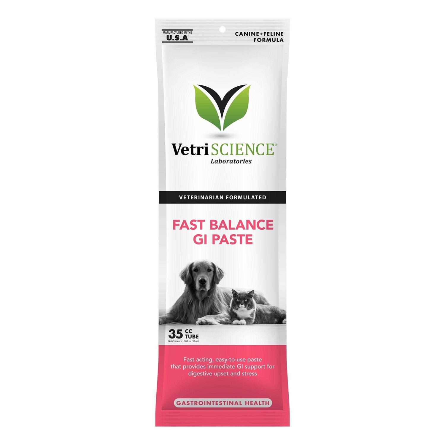 VetriScience Fast Balance G.I. Paste - Healthber